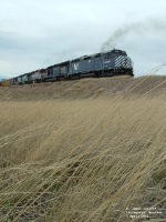 MRL 392 F45 pushing freight